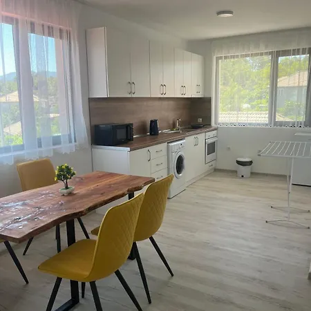 за гости сузи * Zavoya