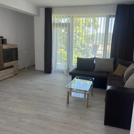 за гости сузи