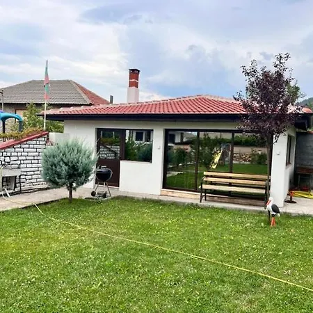 за гости сузи * Zavoya