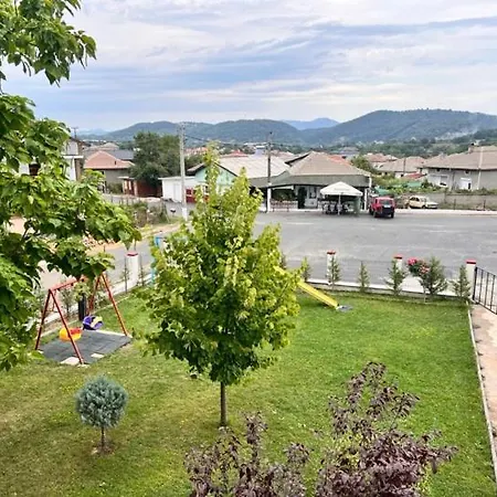 за гости сузи