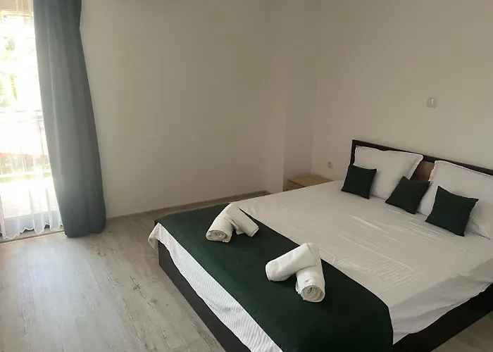 за гости сузи *