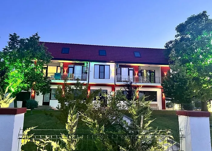 за гости сузи