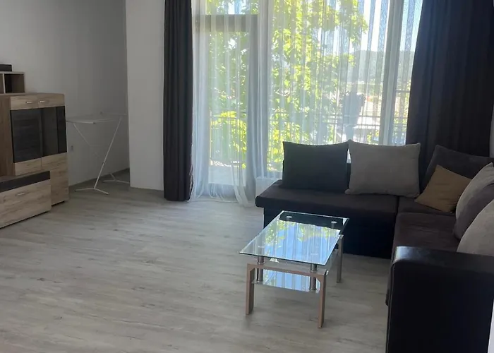 за гости сузи