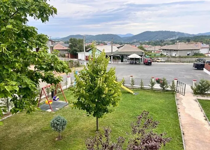 за гости сузи